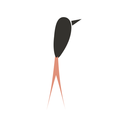 Scissortail mark